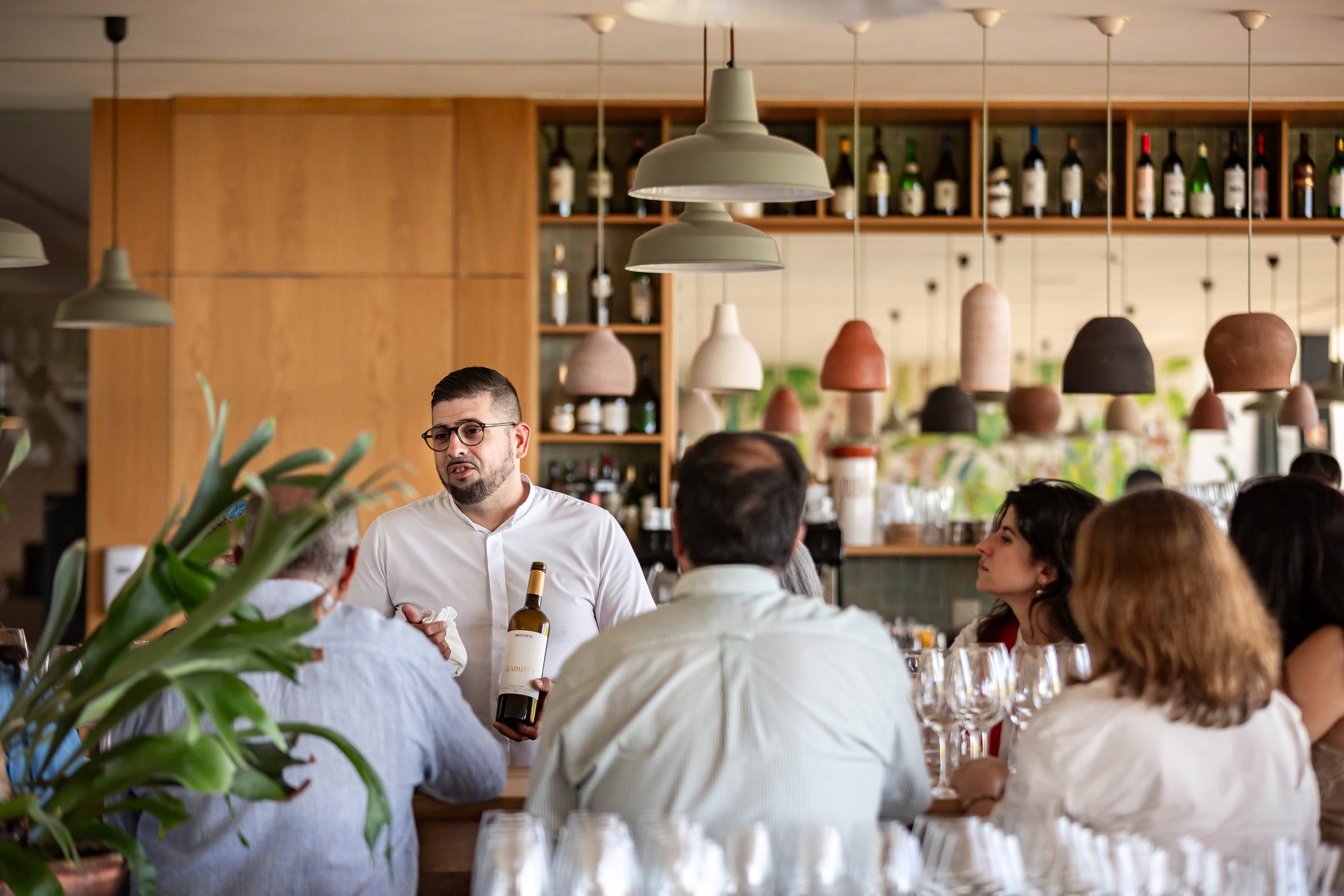Quetzal Expert | Wine Tasting