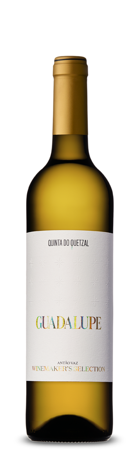 Guadalupe Winemaker's Branco 2022