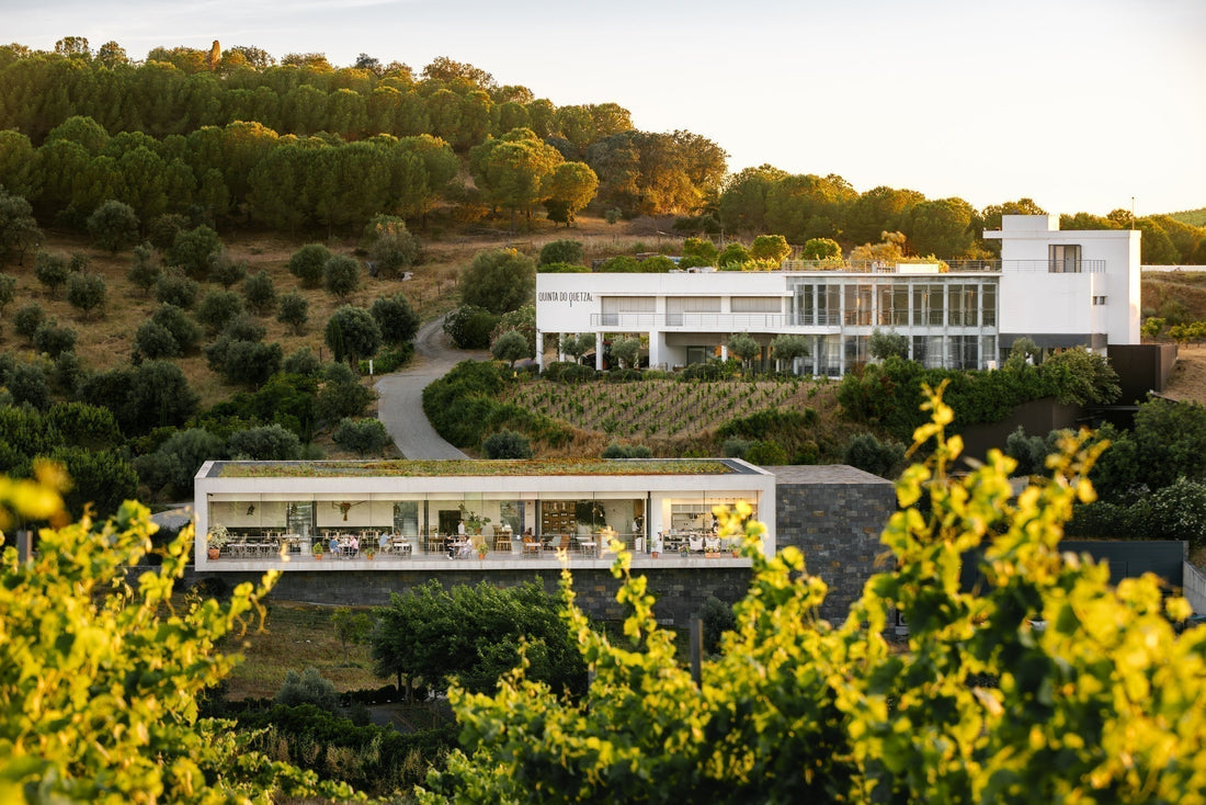 Quetzal Welcome | Guided Tour