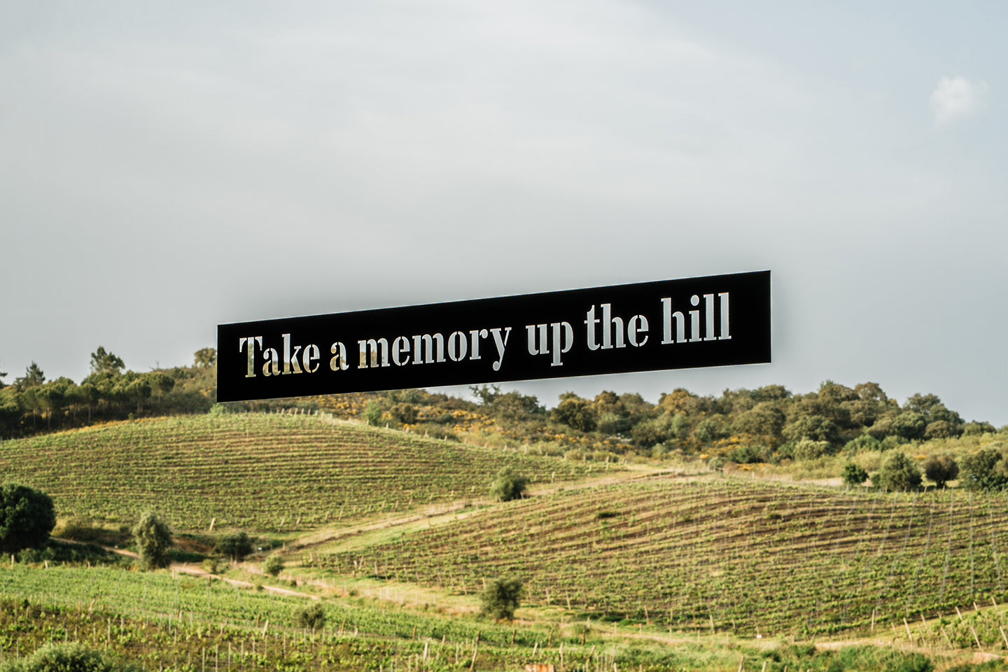 Take a Memory