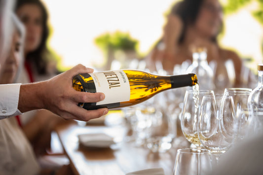 Quetzal Wine and Tapas | Wine Tasting