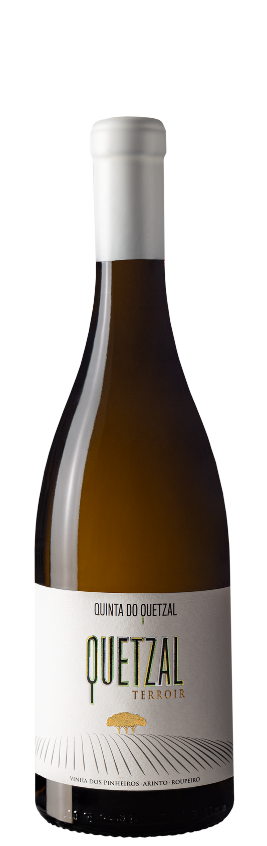 Quetzal Terroir Vinha dos Pinheiros White 2021